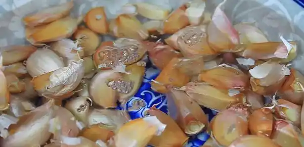 潮汕杂菜煲_潮汕美食杂粮汤_潮汕杂菜煲的做法大全