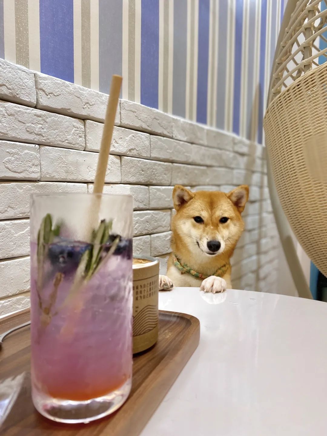咖啡之翼深圳店_深圳探店咖啡厅拍照姿势_深圳咖啡用品店批发