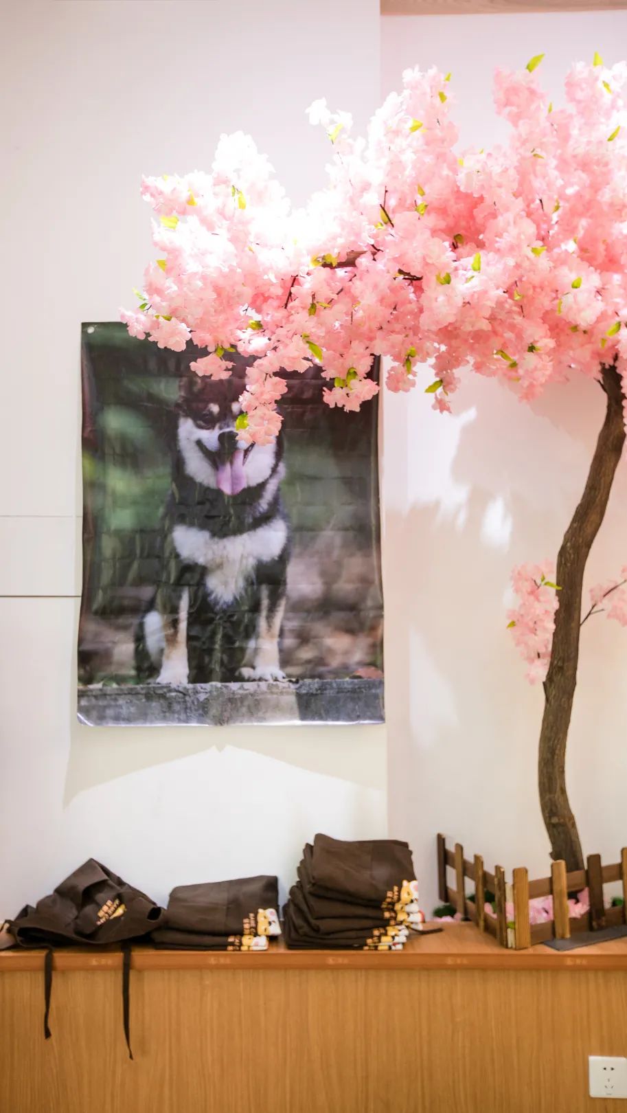 深圳咖啡用品店批发_深圳探店咖啡厅拍照姿势_咖啡之翼深圳店