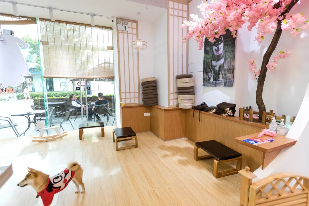 咖啡之翼深圳店_深圳探店咖啡厅拍照姿势_深圳咖啡用品店批发
