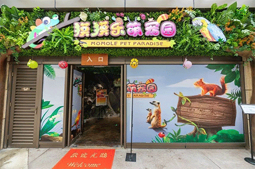 喵喵猫咖啡馆_喵喵咖啡馆动画片_咖啡馆猫