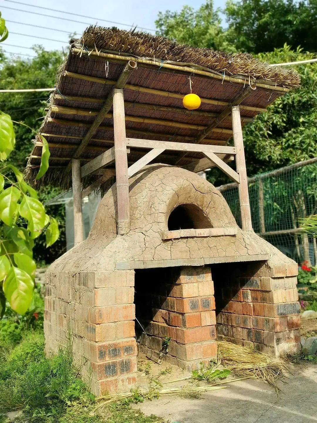 喵喵咖啡馆动画片_咖啡馆猫_喵喵猫咖啡馆