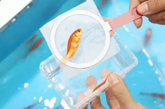 喵喵咖啡馆动画片_咖啡馆猫_喵喵猫咖啡馆