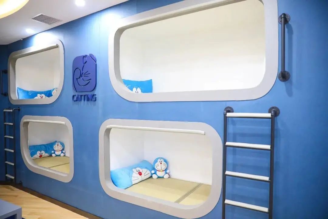 喵喵猫咖啡馆_喵喵咖啡馆动画片_咖啡馆猫