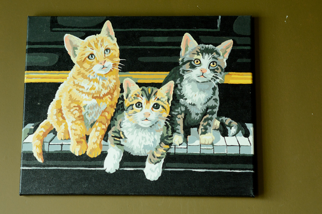 喵喵猫咖啡馆_咖啡馆猫_喵喵咖啡馆动画片