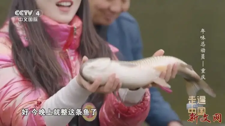 央视美食节目_央视美食类节目有哪些_央视美食