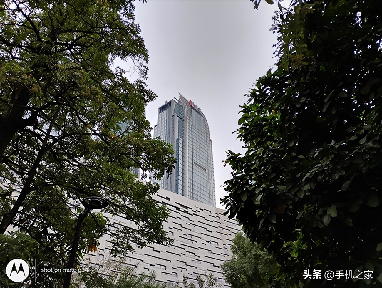 绿树电竞是不是有房子_绿树电竞百度百科_绿树电竞全景