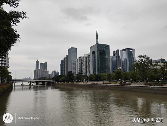 绿树电竞是不是有房子_绿树电竞百度百科_绿树电竞全景