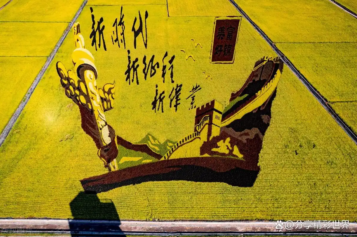 临海去茶去茶餐厅_哈尔滨去茶去茶餐厅_富锦茶餐厅
