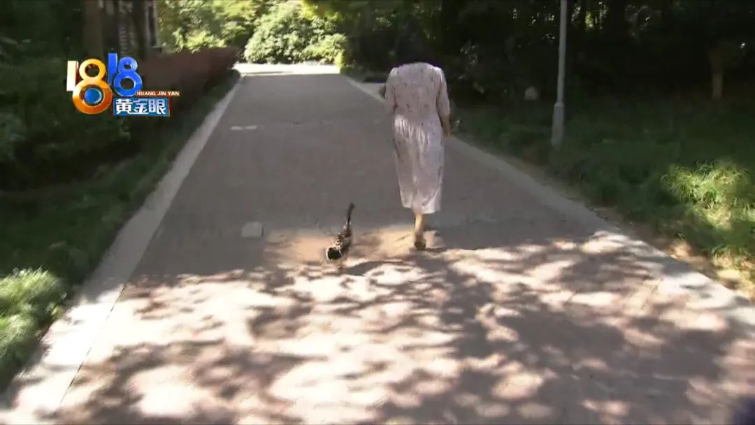有趣的鱼视频_生活趣事鱼的视频_小鱼趣事