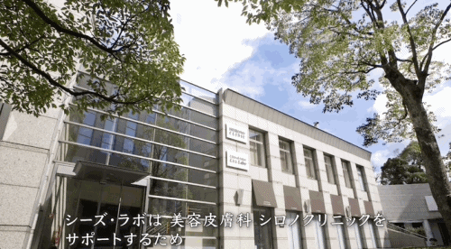技能与生活_生活的新技能是什么电影_技能生活解析