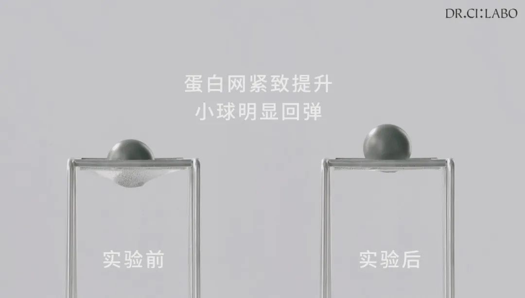 生活的新技能是什么电影_技能与生活_技能生活解析