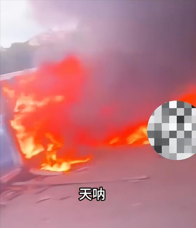 林志颖家_林志颖家庭成员_林志颖家庭日常